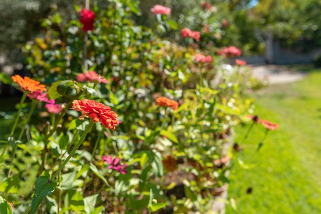 Blooming Memories Appartement Vourvourou Buitenkant foto