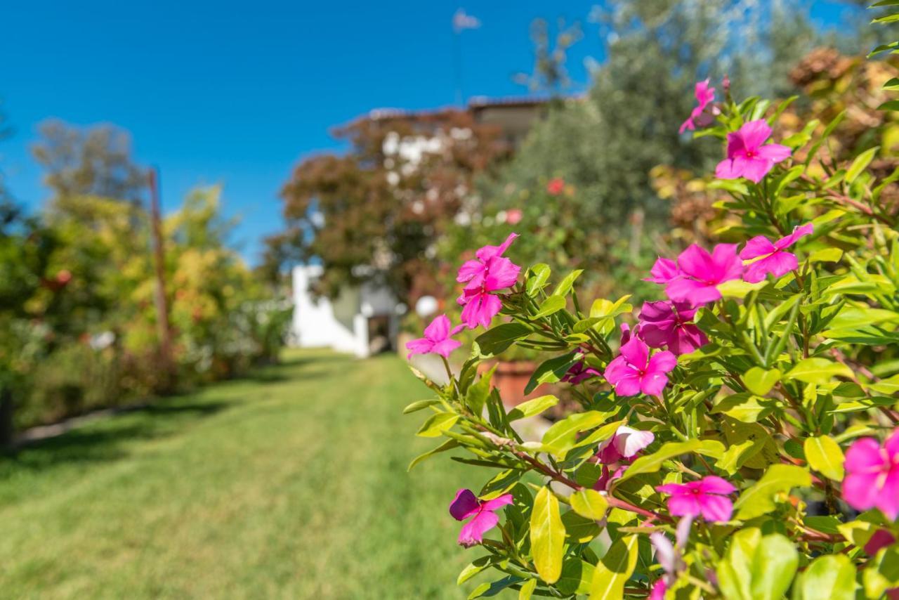 Blooming Memories Appartement Vourvourou Buitenkant foto